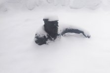 выкса.рф, Сан Саныча замело