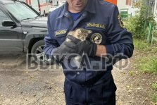 выкса.рф, 🐾 Пушистая операция в микрорайоне Юбилейный