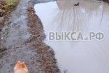 выкса.рф, Утка в луже или городская идиллия по-выксунски